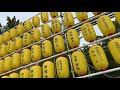 橿原神宮 kashihara shrine 4k