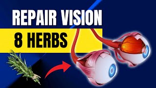 8 Herbs that protect eyes & repair vision