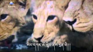 མཐུན་སྒྲིལ་གྱི་ལག་རྡང་། Tibetan songs 3