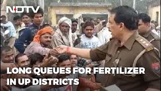 UP News: Shortage Fears As Farmers Form Long Queues Outside UP Fertilizer Centres