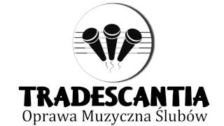 Oprawa Muzyczna Ślubów Tradescantia - Miły mój (Słowa Jego)