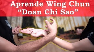 Wing Chun técnicas  🐉