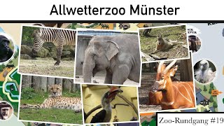 Allwetterzoo Münster 2022 | Zoo-Rundgang #19