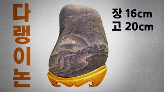 [수석소개 #21] 다랭이논 / 옥동천 / 영월 / 수석 / 박영식 / 우석의수석이야기 / 동강 / 탐석