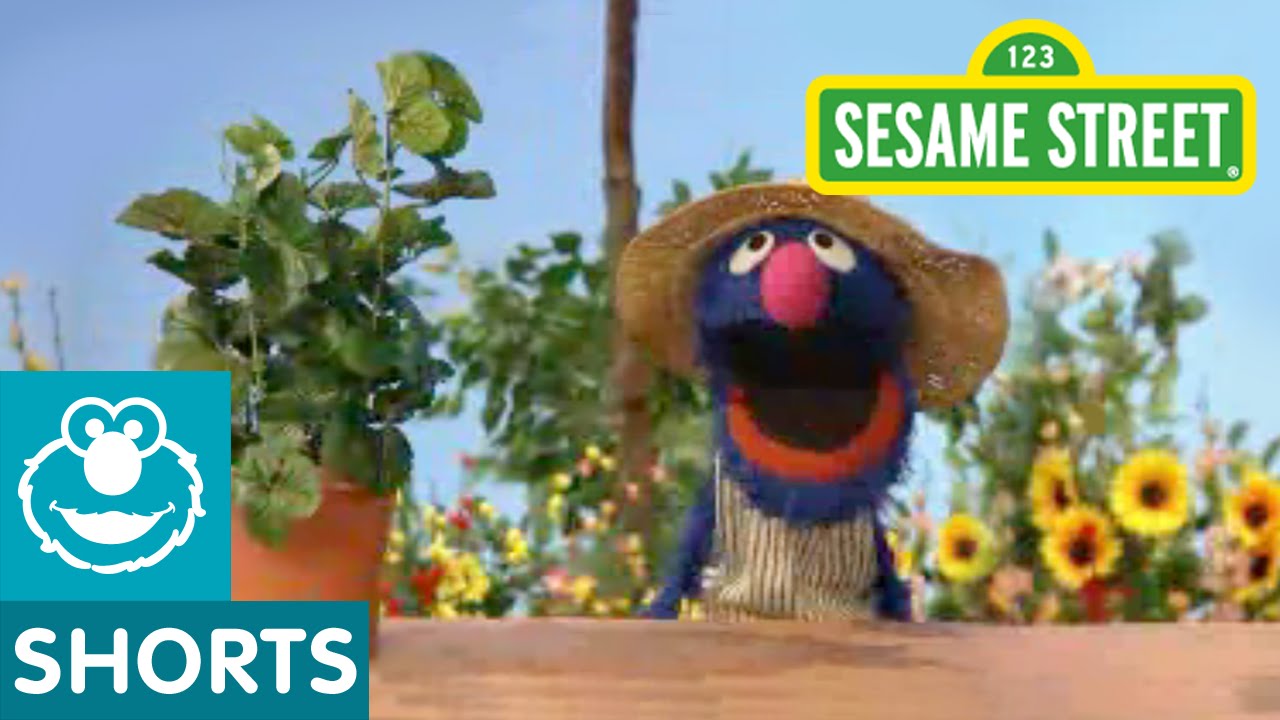 Sesame Street: Grover Talks About Plants - YouTube