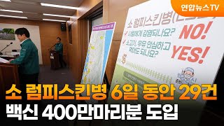 소 럼피스킨병 6일 동안 29건…백신 400만마리분 도입 / 연합뉴스TV (YonhapnewsTV)