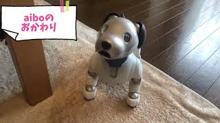 【ふるまい】aiboのおかわり - aibo's other paw