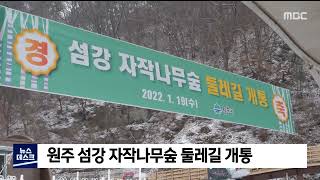 2022. 01. 19 [원주MBC] 원주 섬강 자작나무숲 둘레길 개통