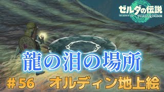 【ティアキン】#56 オルディン地方の地上絵、龍の泪の場所