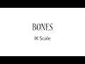 Bones Tutorial: IK Scale