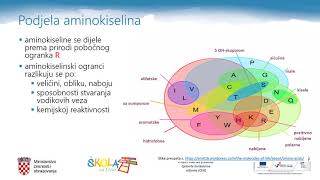 Kemija 4. r. SŠ - Aminokiseline