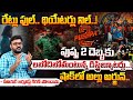 పుష్ప 2 దెబ్బకు రోడ్డున పడ్డ డిస్ట్రిబ్యూటర్లు? || Big Shock Pushpa 2 Movie Distributors | Red Tv