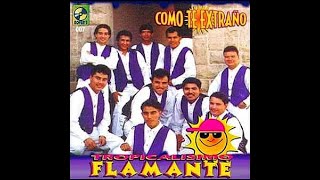 TROPICLISIMO FLAMANTE - FELIX MONTOYA