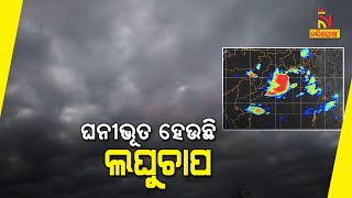 Heavy Rains Lash 11 Districts Of Odisha, Yellow Alert Issued | NandighoshaTV