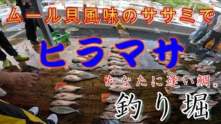 『海上釣り堀』【あなたに逢い鯛。】釣り堀　　前編