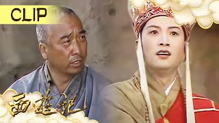 比窦娥还冤的僧人们！为什么会被国王折磨？《西游记》EP18 #journeytothewest #西游记 #tâyduký