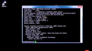 Junos : Interface Statistics and Errors