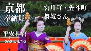 京都【宮川町/先斗町】2024/4/16 舞妓さん奉納舞 平安神宮例祭 京都観光 / Maiko and Geiko in Kyoto Japan/#平安神宮 #京都 #舞妓 芸妓 京都旅行