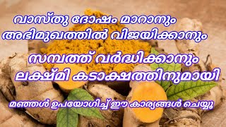 സമ്പത്ത് വർദ്ധിക്കാനും ലക്ഷ്മി കടാക്ഷത്തിനുമായി മഞ്ഞൾ ഉപയോഗിച്ച് ഈ കാര്യങ്ങൾ ചെയ്യൂ