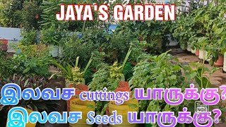 இலவச விதைகள் யாருக்கு? இலவச cuttings யாருக்கு? தெரிந்துக் கொள்ளுங்கள்