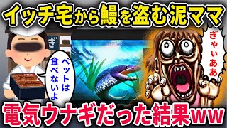 【泥ママ】鰻屋のイッチ宅から鰻を盗む泥ママ「ラッキー！…ぎゃぃあああ！」→○○ウナギだった結果ｗ【2chスカっと・ゆっくり解説】