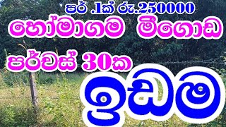 පර්චස් 30 පර්චස් 1 රු. 250000/=