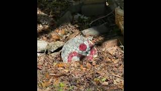 How Indigenous Reclassification Shows in a Rural Cemetery