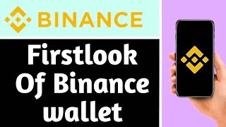 Binance Wallet Overview | Is It Worth It?