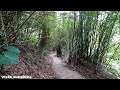 陽明山散步 狗殷勤古道 尾崙水圳 taiwan taipei yangmingshan walk 陽明山を歩く 타이베이 양명산 걷다