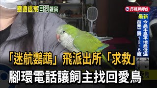 「迷航鸚鵡」飛派出所「求救」 腳環電話讓飼主找回愛鳥－民視新聞