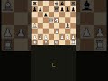 chess shorts 1 your