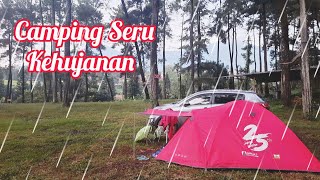 Camping in the rain at Pine Jungle Camp - Sounds of Nature