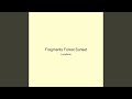 Fragments Forest Sunset