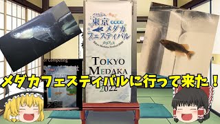 東京メダカフェスティバル2022年に行って来た