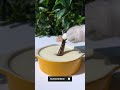 Making The Magical Bubble Shrimp Snacks 💨 | Chef Cat Cooking Food #tiktok #Shorts