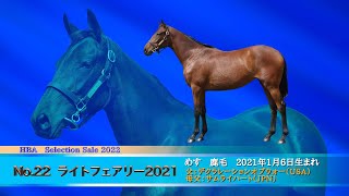 【セレクションセール2022】№22　ライトフェアリー2021