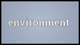 Environment Meaning