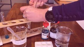 The Model Gut experiment