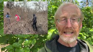 Cape Cod Chronicle video preview June 1, 2023