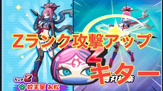 妖怪ウォッチぷにぷに蛇王軍お松使ってみたZランクの攻撃アップ