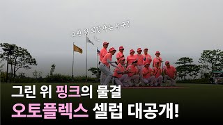 그린 위 핑크의 물결, 오토플렉스 셀럽 대공개!