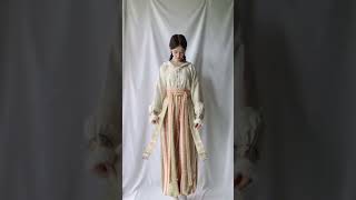 Winter Hanfu long skirt Chinese traditional clothing beautiful outfit V5125