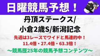 【競馬予想】2023丹頂ステークス（札幌）、小倉2歳ステークス（小倉）、新潟記念（新潟）｜丹頂ステークスは7歳の実績馬に注目！