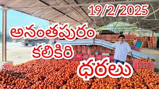 అనంతపురం, కలికిరి టమోటా మార్కెట్ ధరలు 19/2/2025