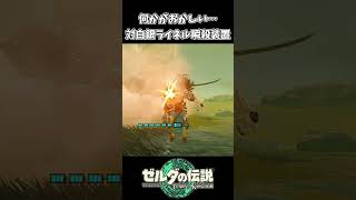 【ティアキン】何かがおかしい…？【ゼルダの伝説 ティアーズ オブ ザ キングダム】