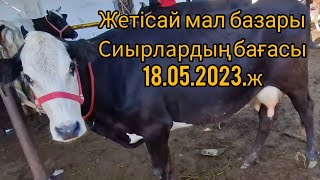 Жетісай мал базары. Бұзаулы сиырлар..Бұзаулар бағасы.18.05.2023