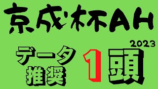 【京成杯オータムハンデ2023】中山マイルトリッキーコース使用のハンデ重賞！ソウルラッシュやインダストリアよりも魅力的な1頭！