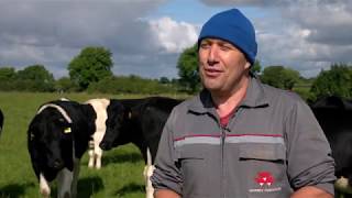 Dairy Farmer Victor Austin on Moocall HEAT