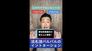 【静岡県浜松市】【愛知県豊橋市】浜名湖パルパルのイントネーション🤪