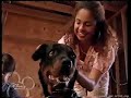 disney channel commercials july 30 2007